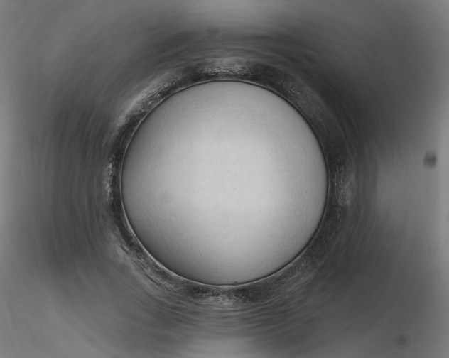 X0000116510735200912231233