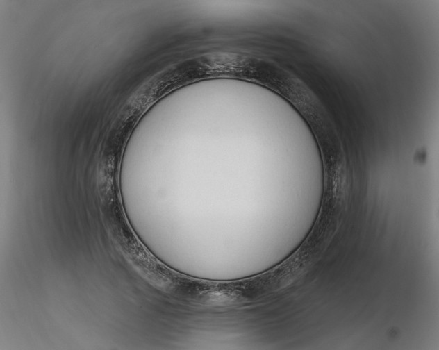 X0000116510737200912231233