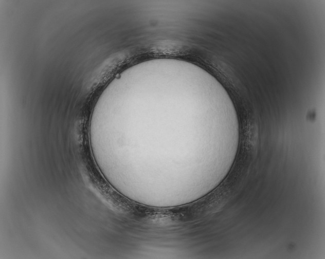 X0000116510738200912231233