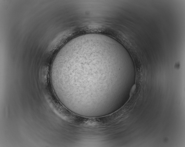 X0000116510742200912231233