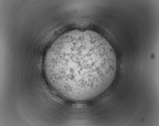 X0000116510745200912231233