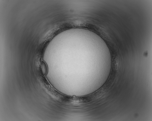 X0000116510746200912231233