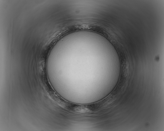 X0000116510747200912231233