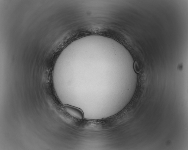 X0000116510750200912231233