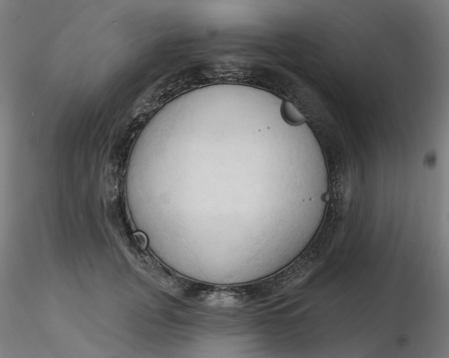 X0000116510751200912231233