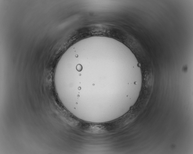 X0000116510753200912231233