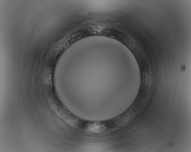 X0000116510754200912231233