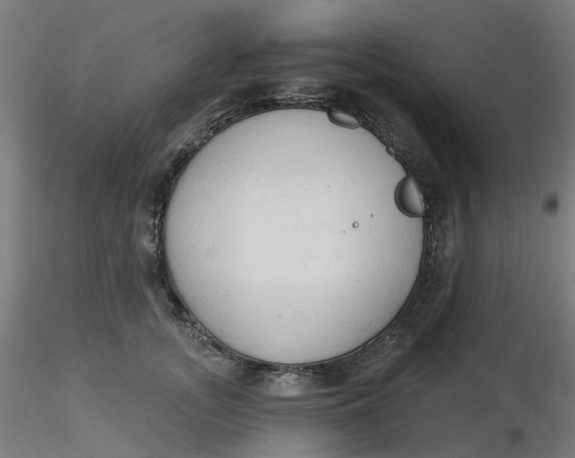 X0000116510755200912231233