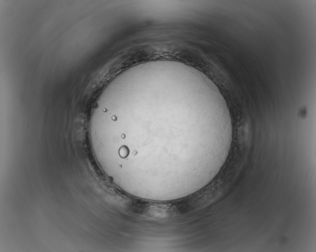 X0000116510757200912231233