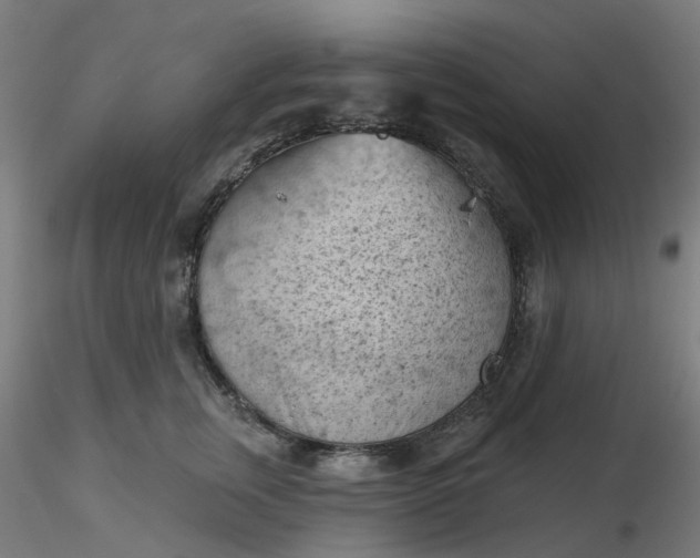 X0000116510759200912231233