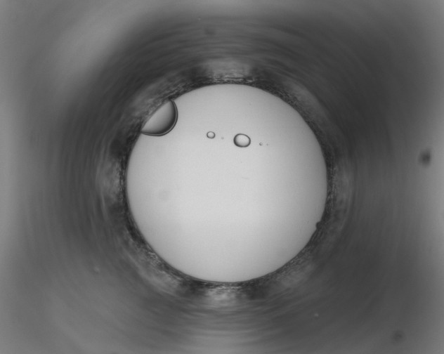 X0000116510761200912231233