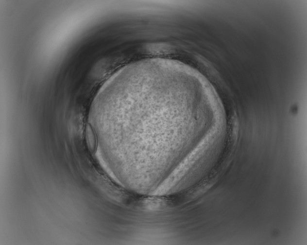 X0000116510762200912231233