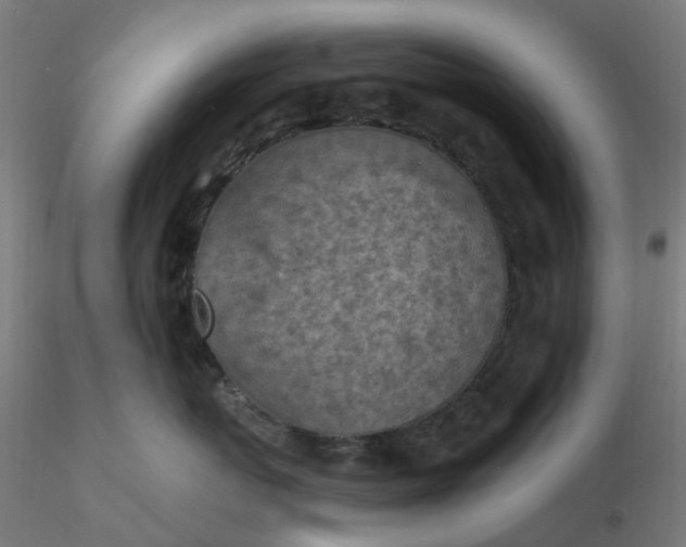 X0000116510767200912231233