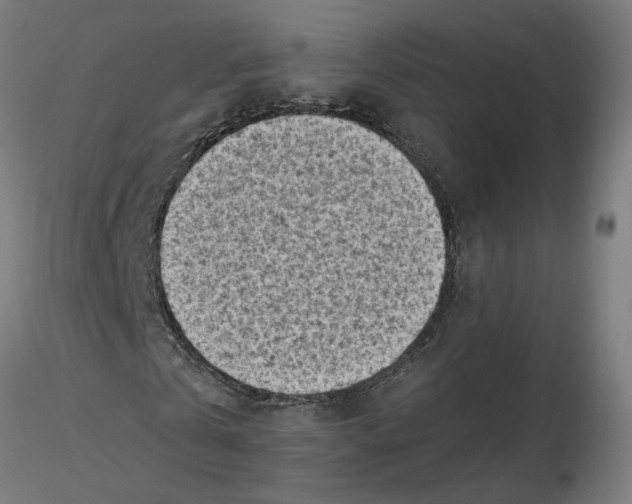 X0000116510769200912231233