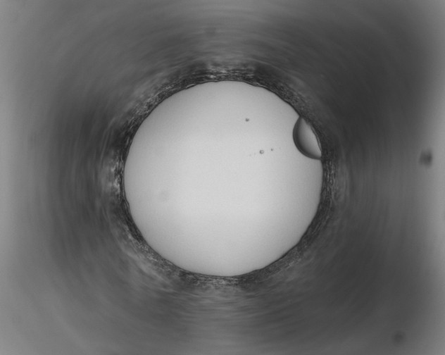 X0000116510770200912231232