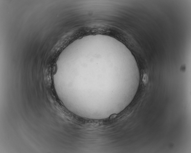 X0000116510771200912231232