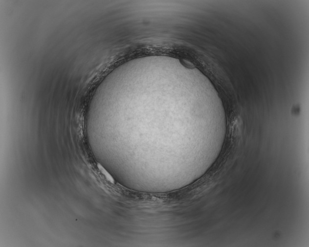 X0000116510772200912231232