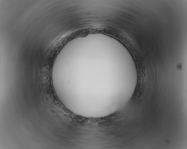 X0000116510773200912231232