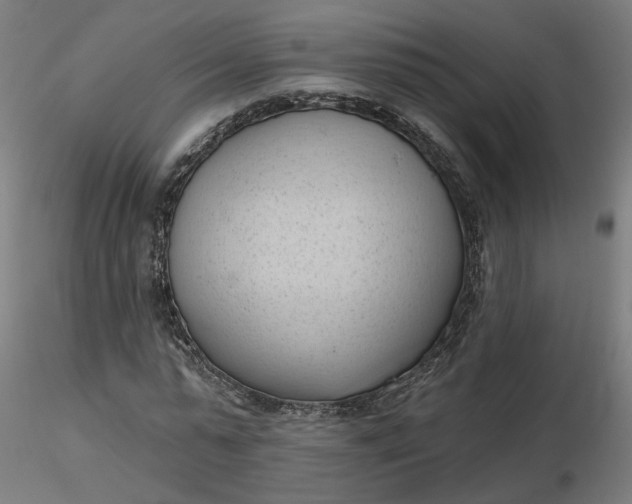 X0000116510775200912231232