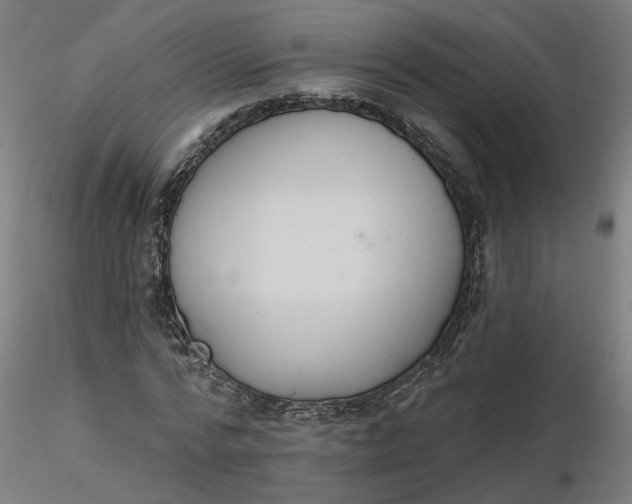 X0000116510776200912231232