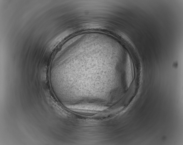 X0000116510777200912231232