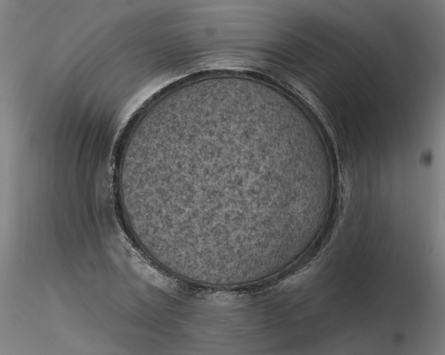 X0000116510779200912231232