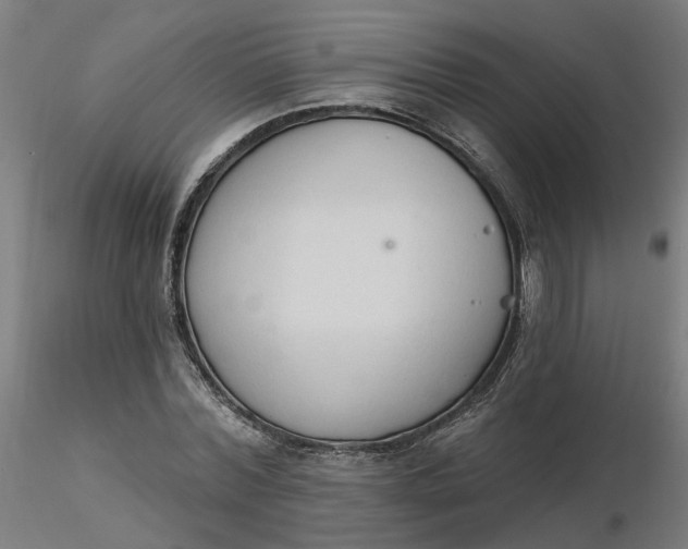 X0000116510780200912231232