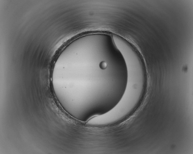 X0000116510781200912231232