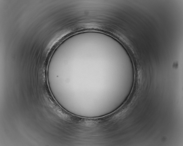 X0000116510782200912231232