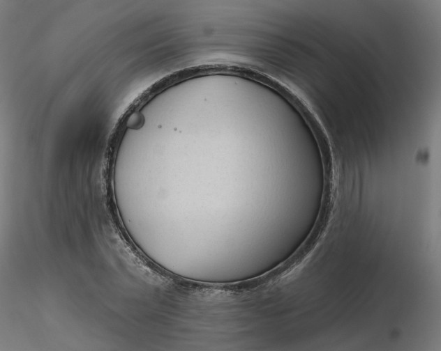 X0000116510783200912231232