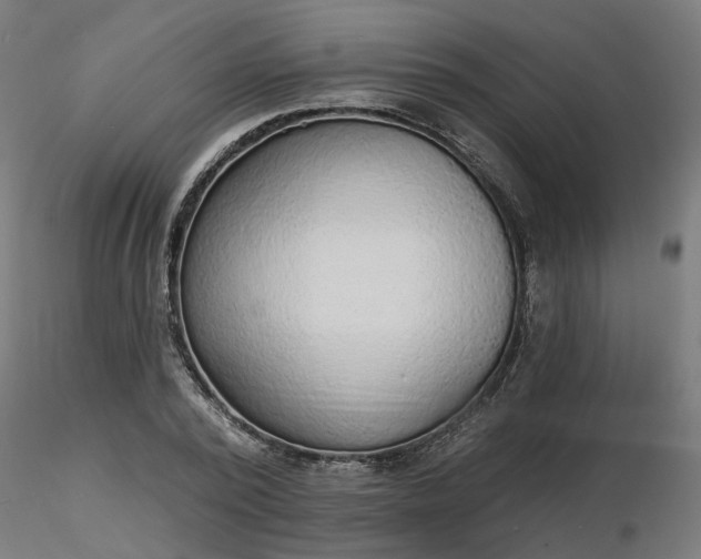 X0000116510784200912231232