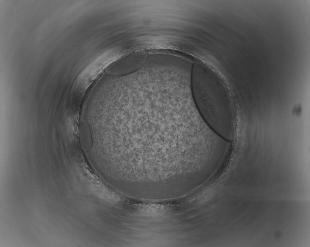 X0000116510785200912231232