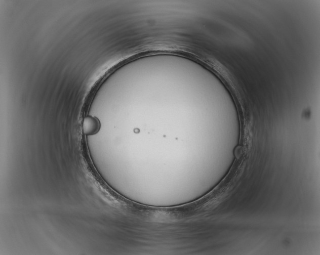 X0000116510787200912231232