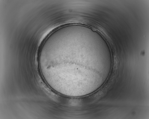 X0000116510788200912231232