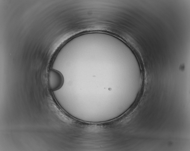 X0000116510789200912231232