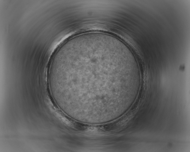 X0000116510790200912231232