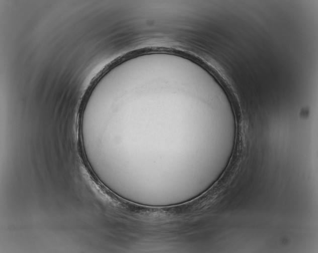 X0000116510791200912231232