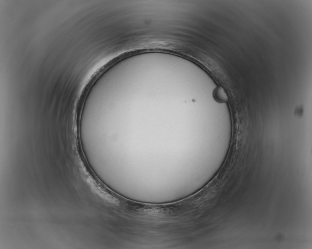 X0000116510792200912231232