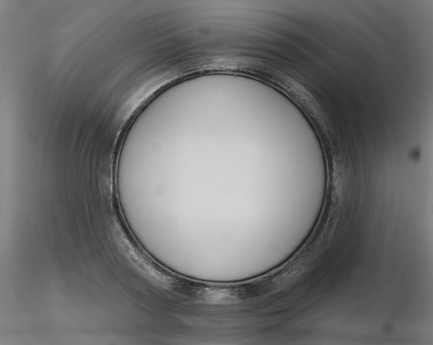 X0000116510794200912231232