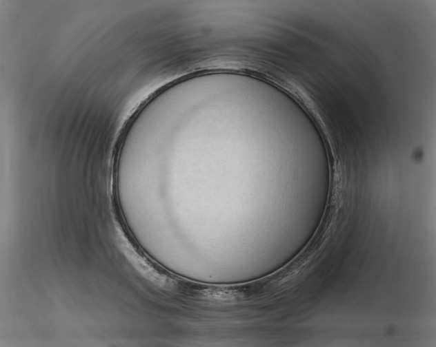 X0000116510795200912231232