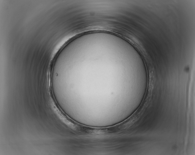 X0000116510796200912231232