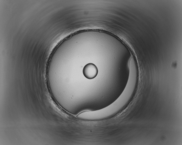 X0000116510797200912231232