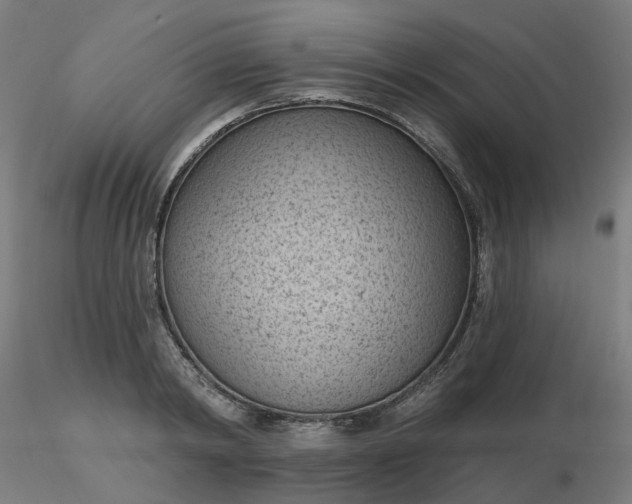 X0000116510798200912231232