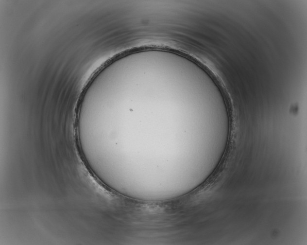 X0000116510799200912231232