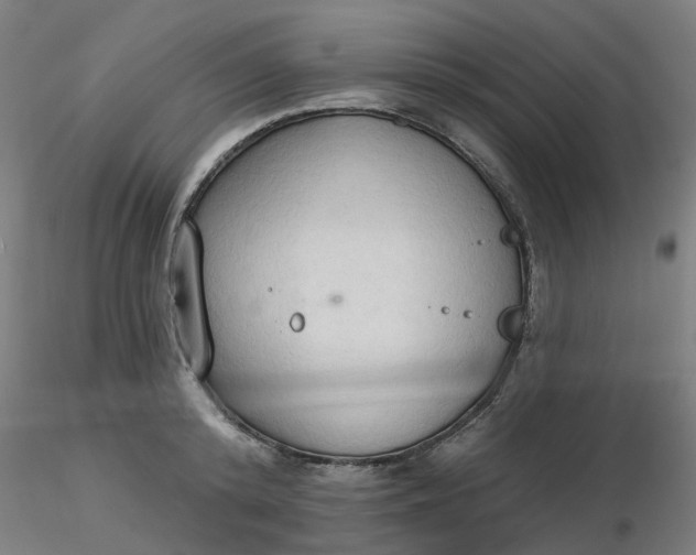 X0000116510800200912231232