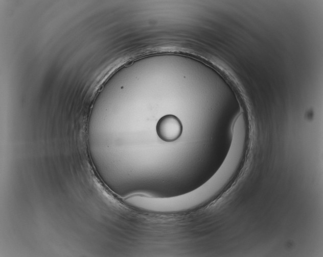 X0000116510801200912231232