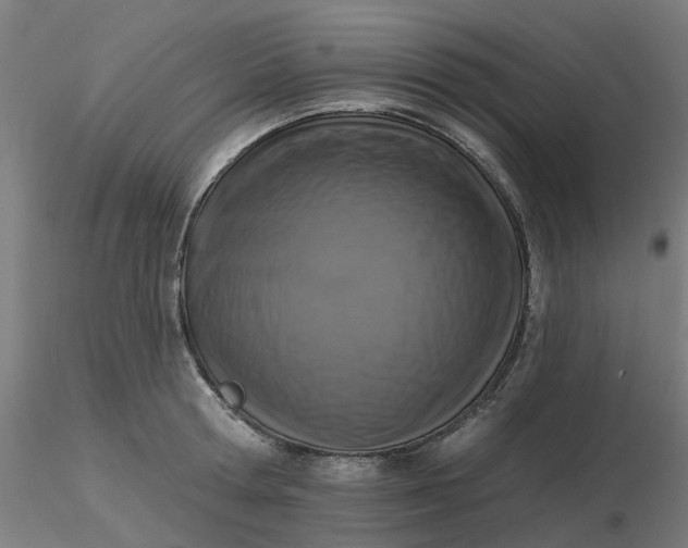 X0000116510802200912231232