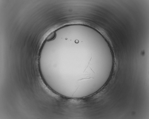 X0000116510805200912231232