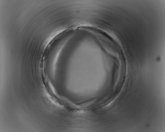 X0000116510806200912231232