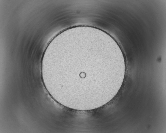 X0000116510807200912231232